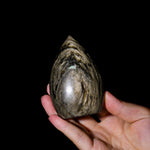Golden Obsidian Flame Freeform-Helmsman Crystal
