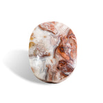 Mexico Agate Palm Stone-Helmsman Crystal