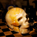 Ocean Jasper Skull-Helmsman Crystal