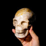 Ocean Jasper Skull-Helmsman Crystal