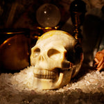 Ocean Jasper Skull-Helmsman Crystal