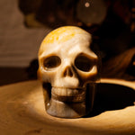 Ocean Jasper Skull-Helmsman Crystal