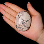 Picture Jasper Palm Stone-Helmsman Crystal