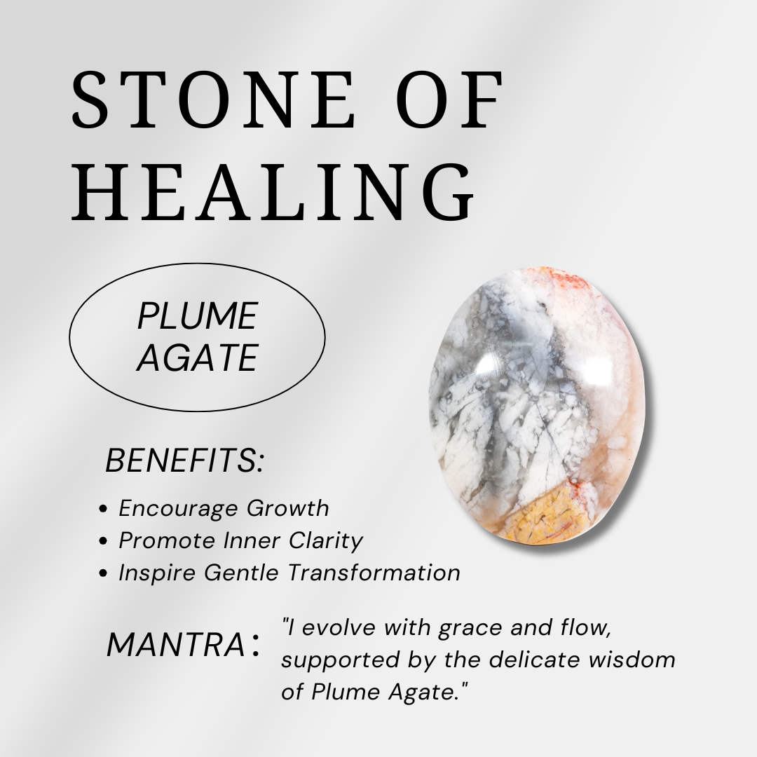 Plume Agate Palm Stone-Helmsman Crystal