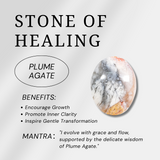 Plume Agate Palm Stone-Helmsman Crystal