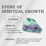 Rainbow Fluorite Crystal Skull-Helmsman Crystal