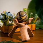Septarian Sphere-Helmsman Crystal