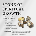 Septarian Sphere-Helmsman Crystal