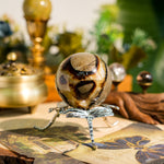 Septarian Sphere-Helmsman Crystal