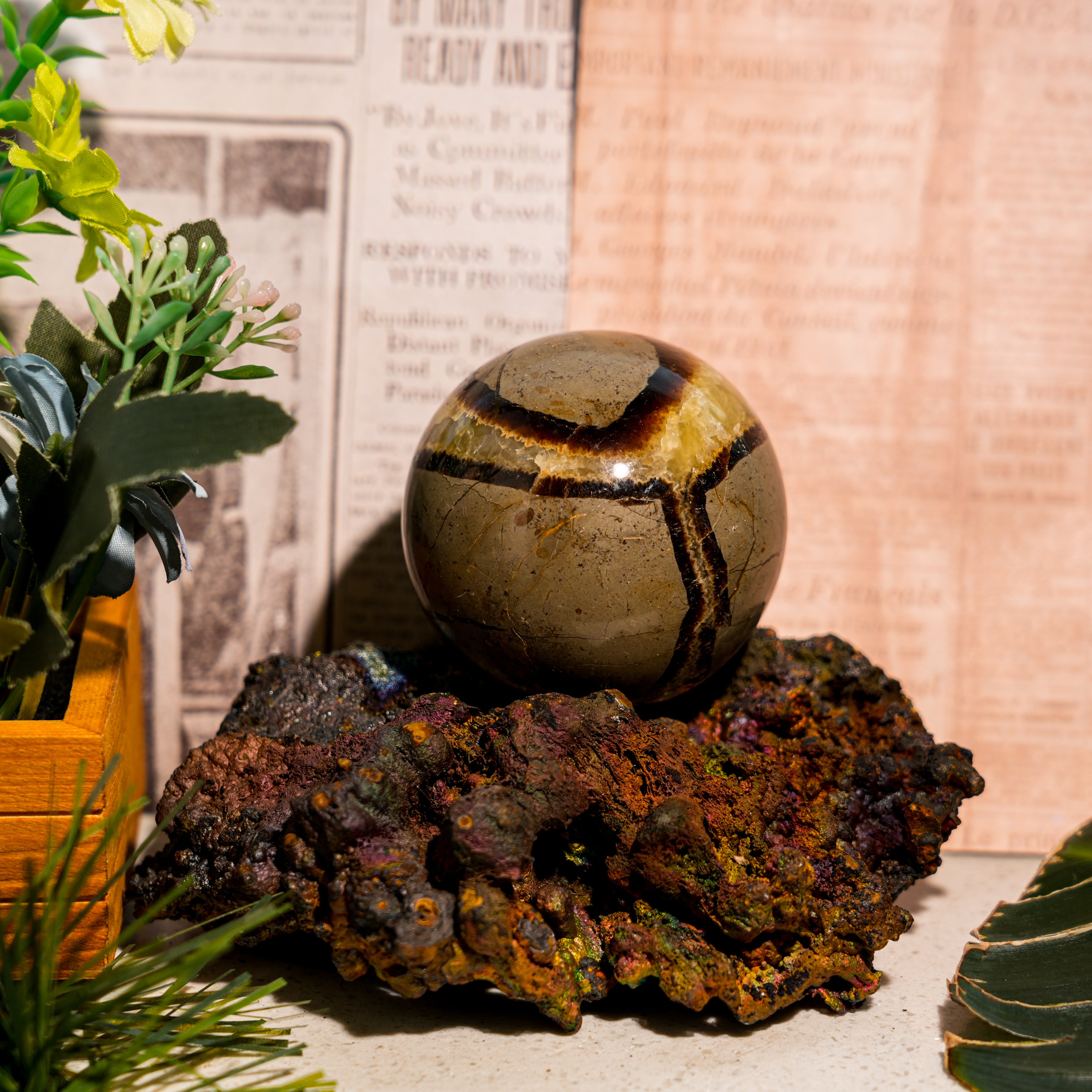 Septarian Sphere-Helmsman Crystal