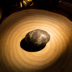 Shell Stone Palm Stone-Helmsman Crystal