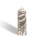 Shell Stone Point-Helmsman Crystal