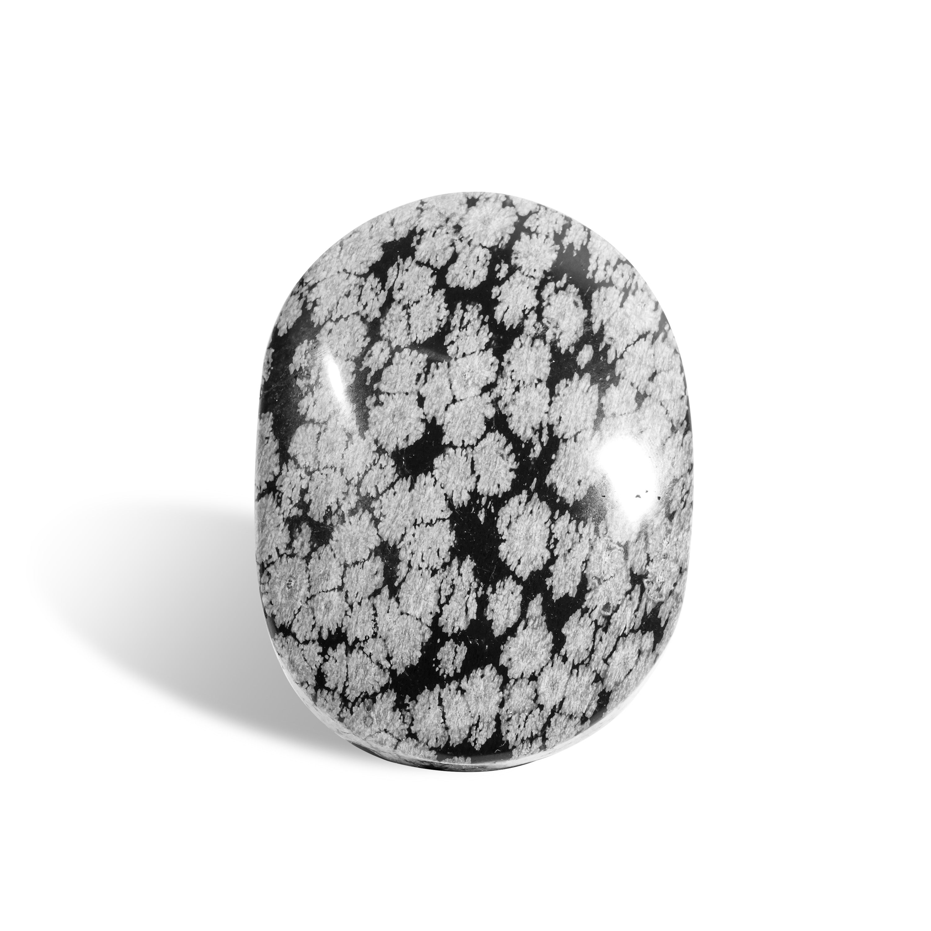 Snowflake Obsidian Palm Stone-Helmsman Crystal