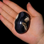 Volcanic Agate Palm Stone-Helmsman Crystal