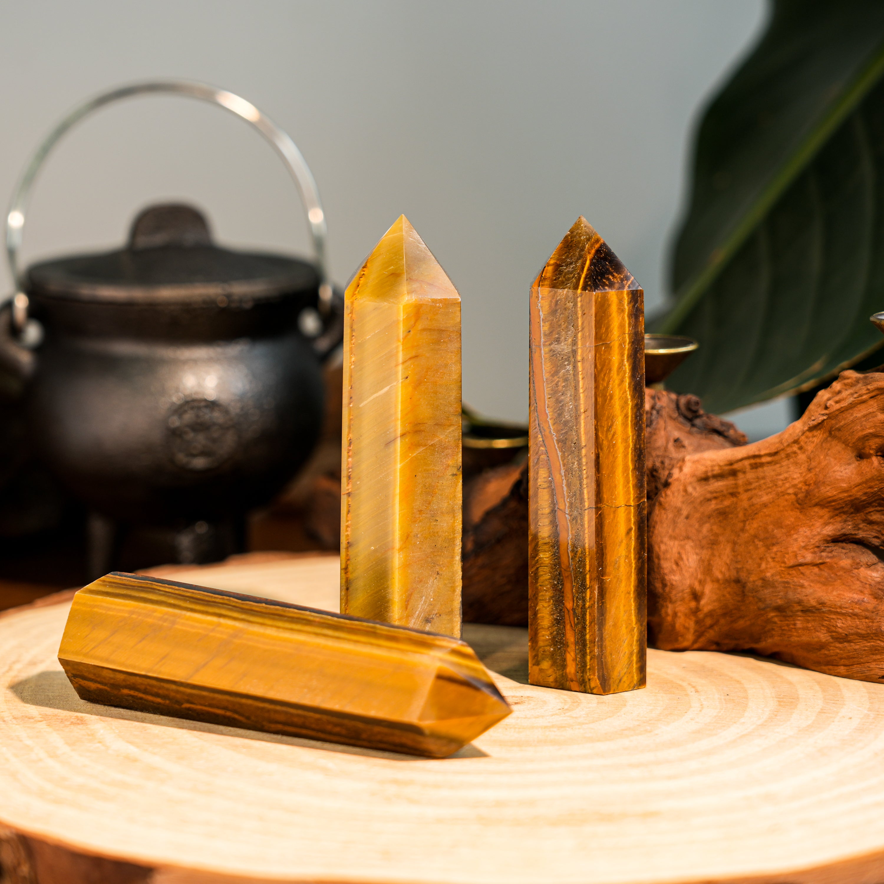 Yellow Tiger Eye Stone Point-Helmsman Crystal