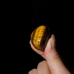 Yellow Tiger Eye Tumbled Stone Set-Helmsman Crystal