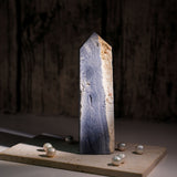 Blue Coral Fossil Tower - helmsman - crystal
