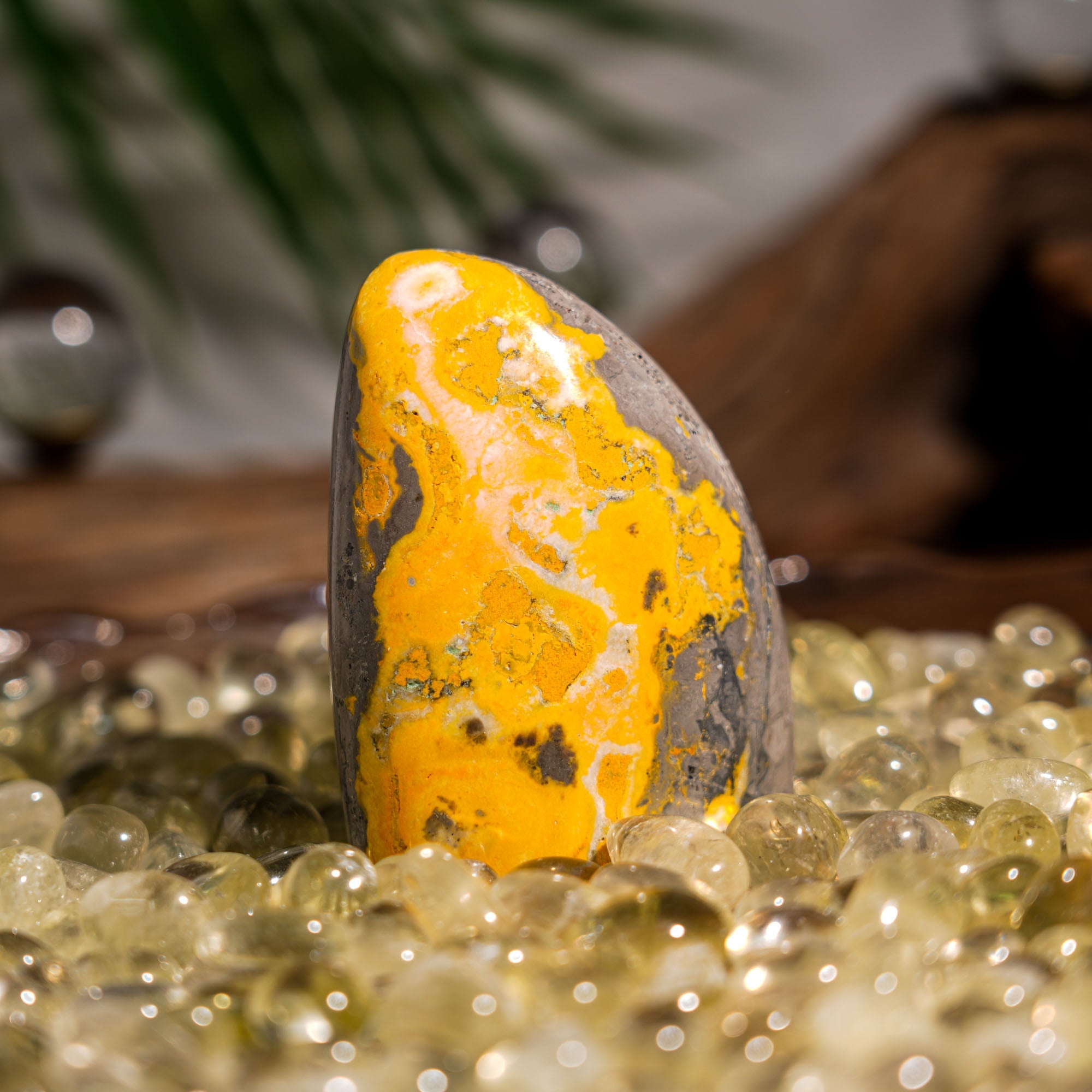 Bumblebee Jasper Flame - helmsman - crystal