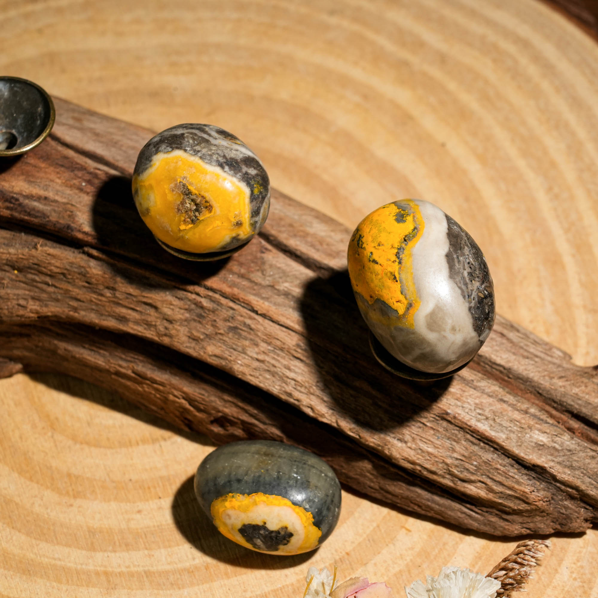 Bumblebee Jasper Tumbled Stone Set - helmsman - crystal