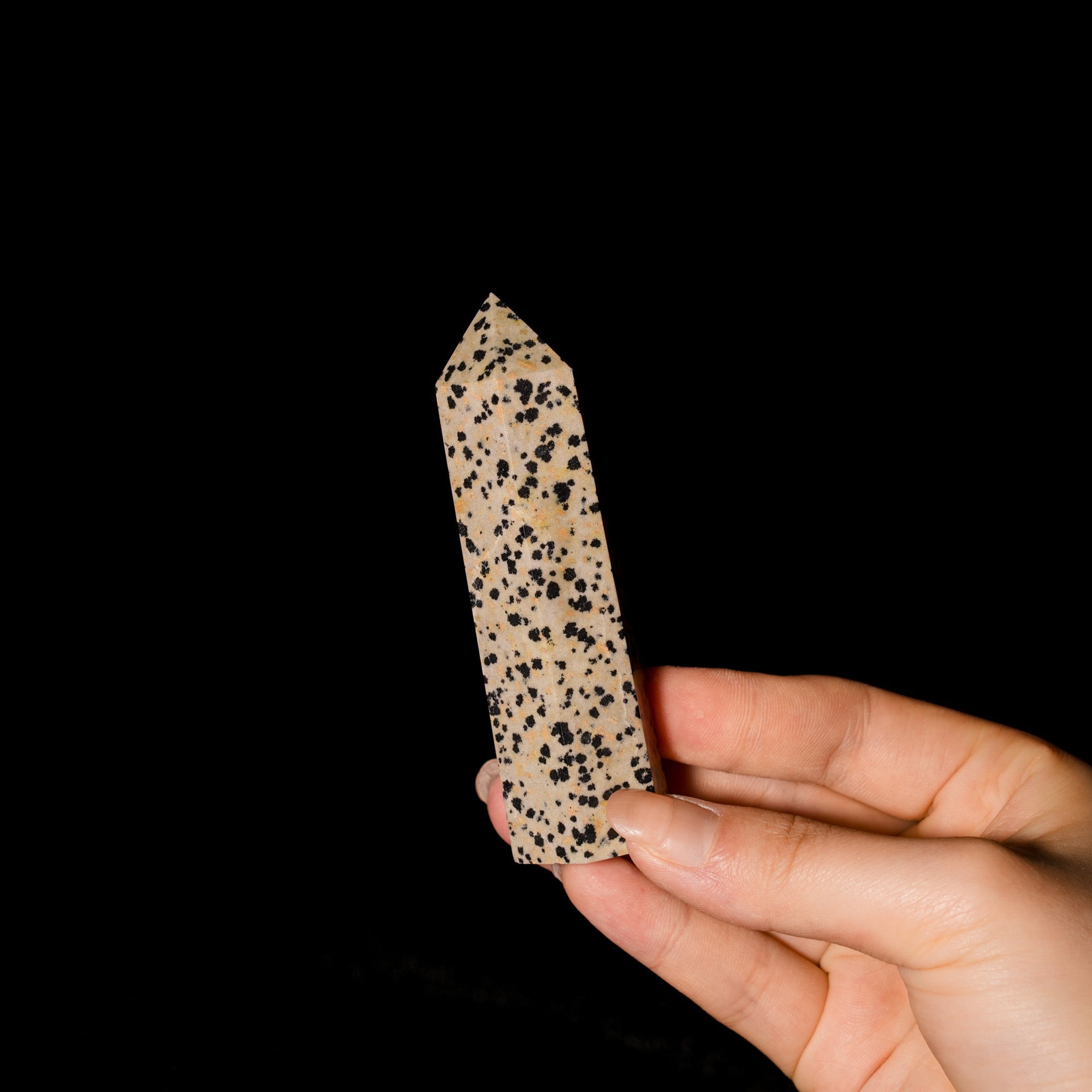 Dalmatian Jasper Point - helmsman - crystal