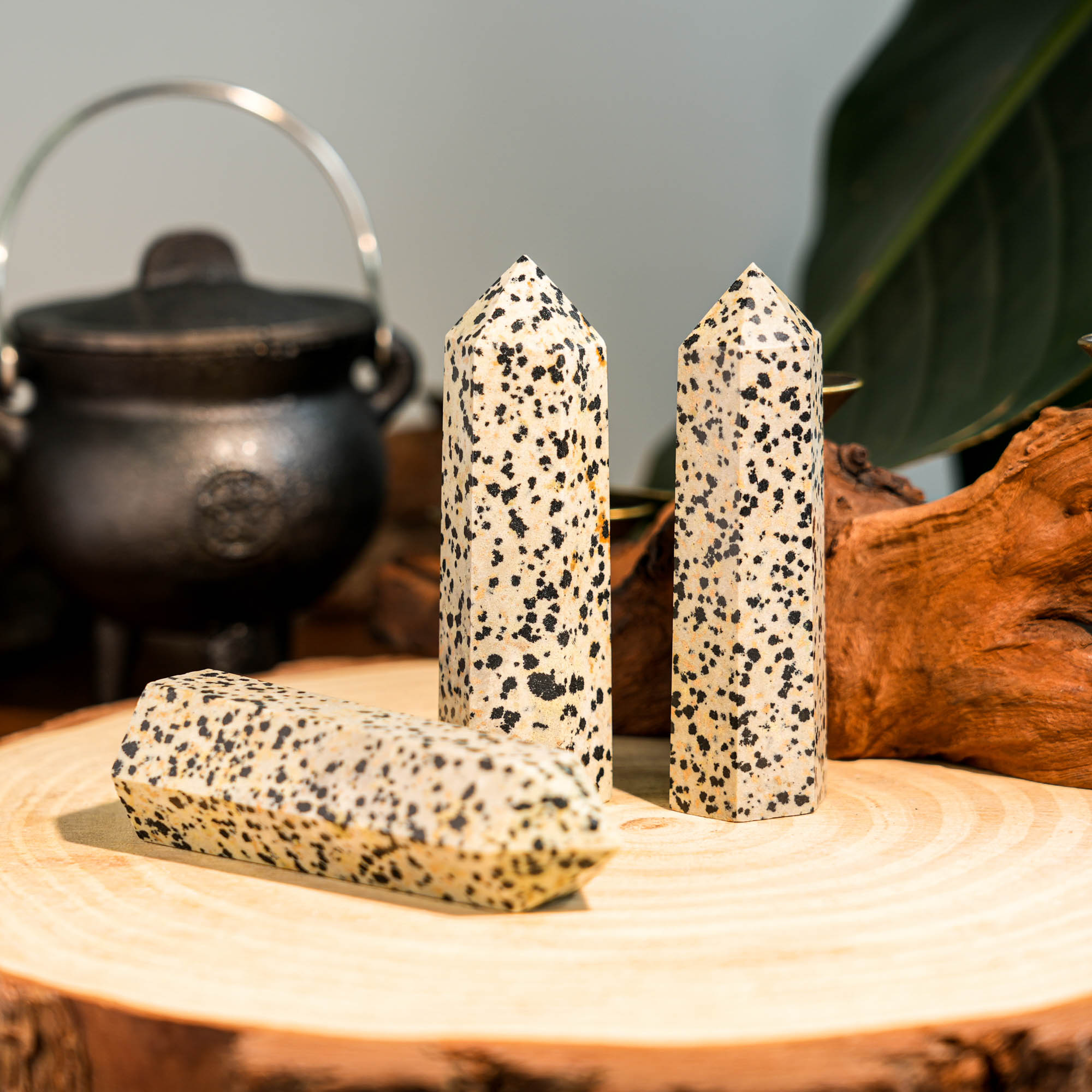 Dalmatian Jasper Point - helmsman - crystal