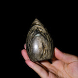 Golden Obsidian Flame Freeform - helmsman - crystal