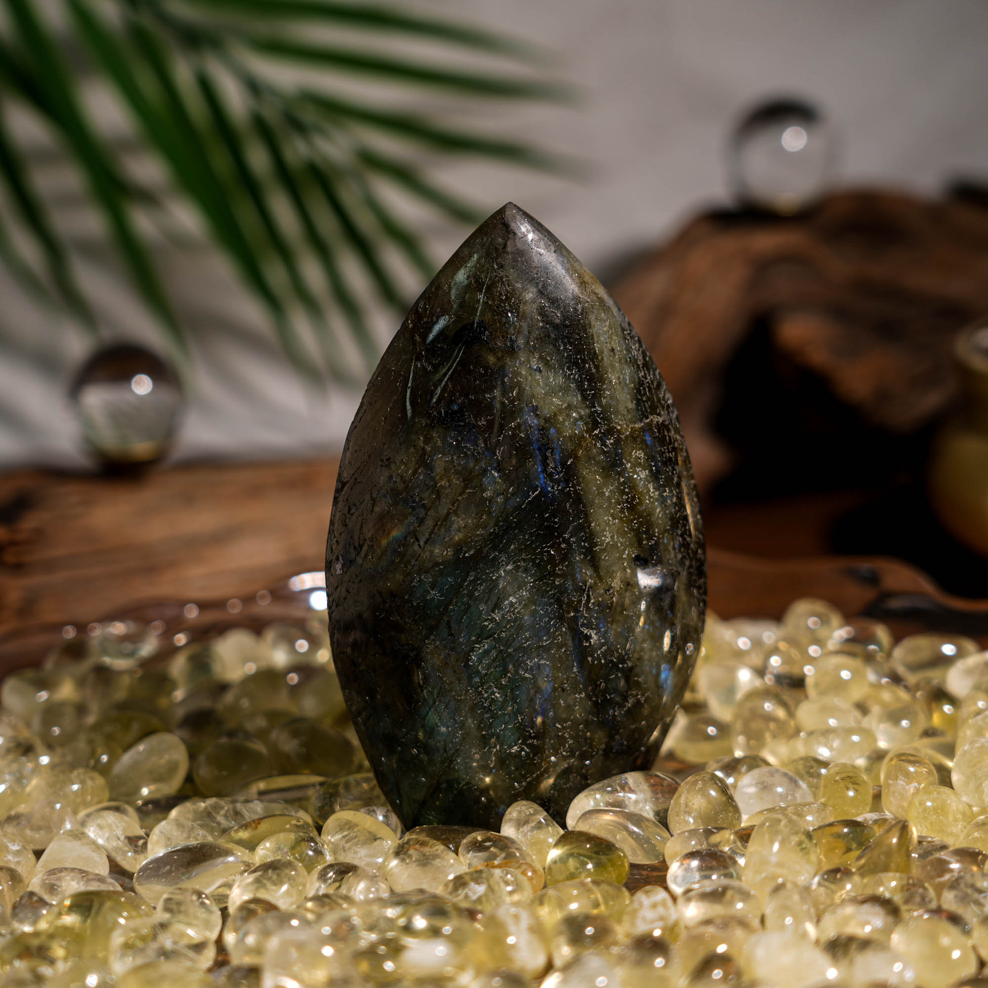 Golden Obsidian Flame Freeform - helmsman - crystal