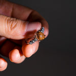 Golden Rutilated Quartz Ring - helmsman - crystal