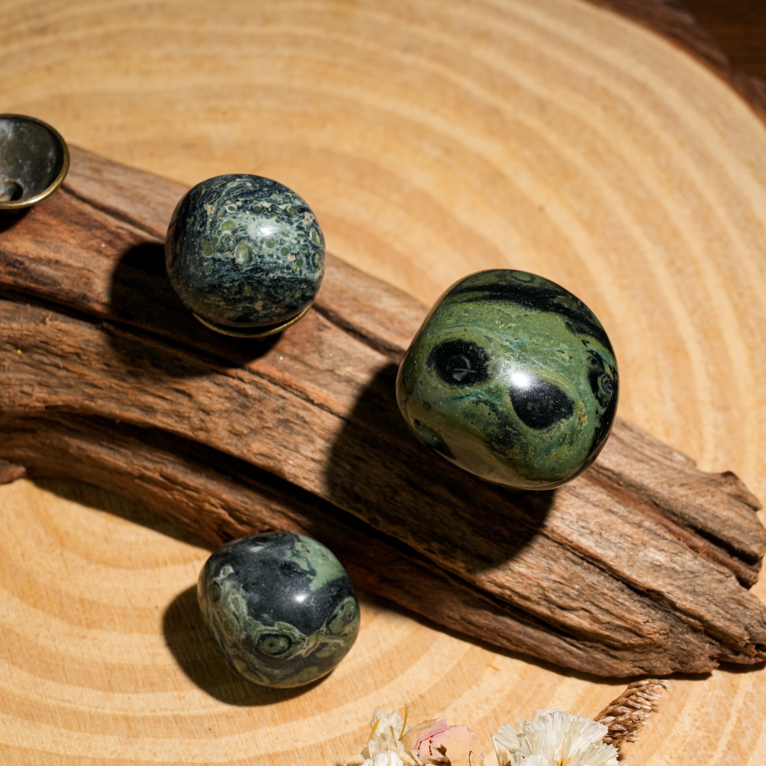 Kambaba Jasper Tumbled Stone Set-Helmsman Crystal