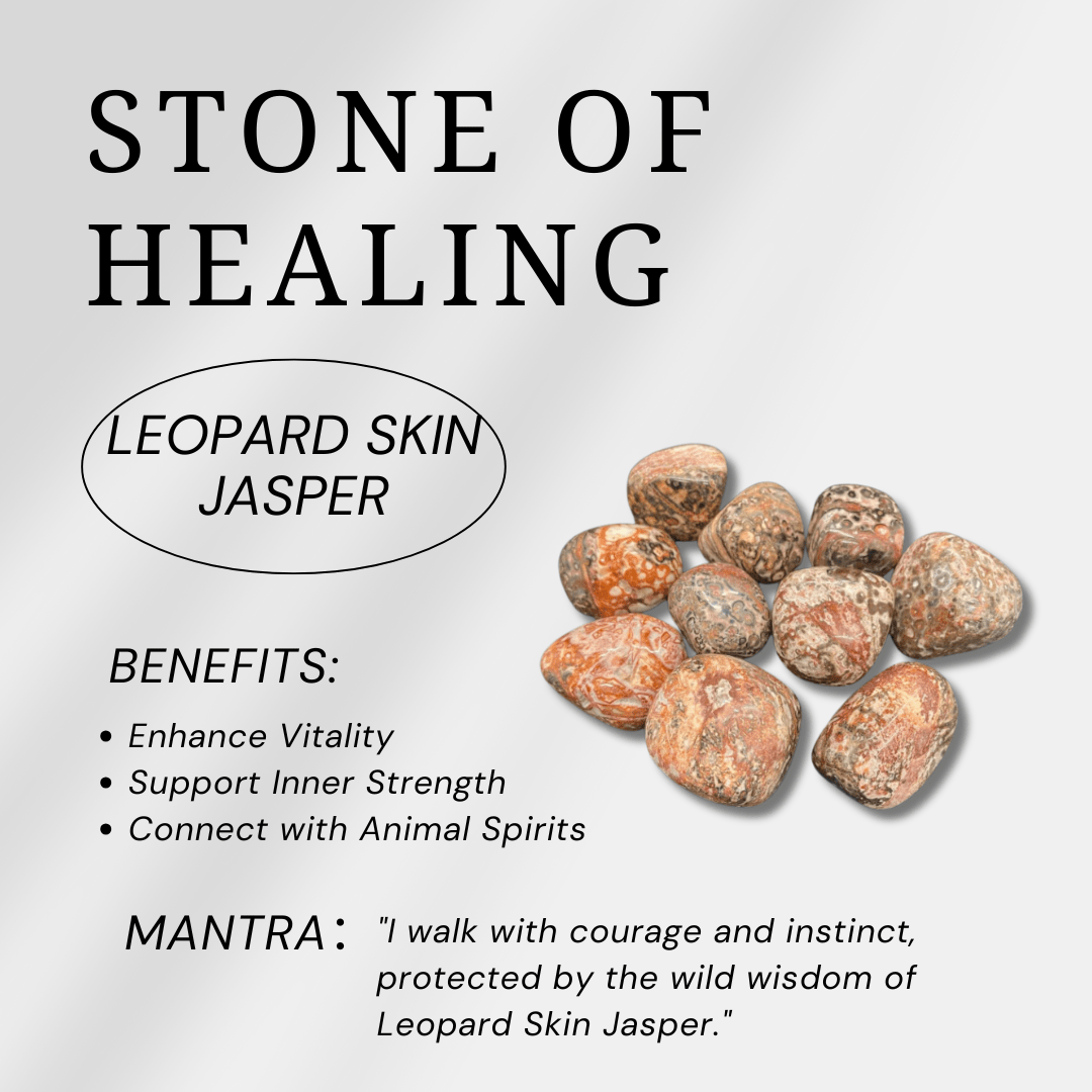 Leopard Skin Jasper Sphere - helmsman - crystal