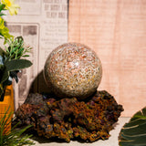 Leopard Skin Jasper Sphere - helmsman - crystal