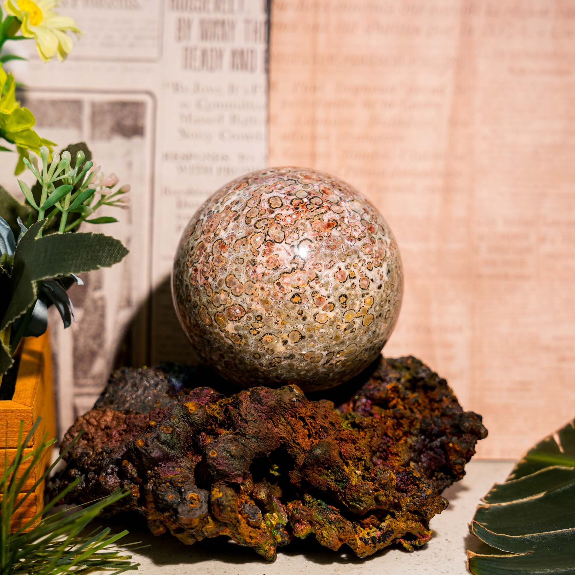 Leopard Skin Jasper Sphere - helmsman - crystal