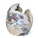 Mexico Agate Cluster Skull - helmsman - crystal
