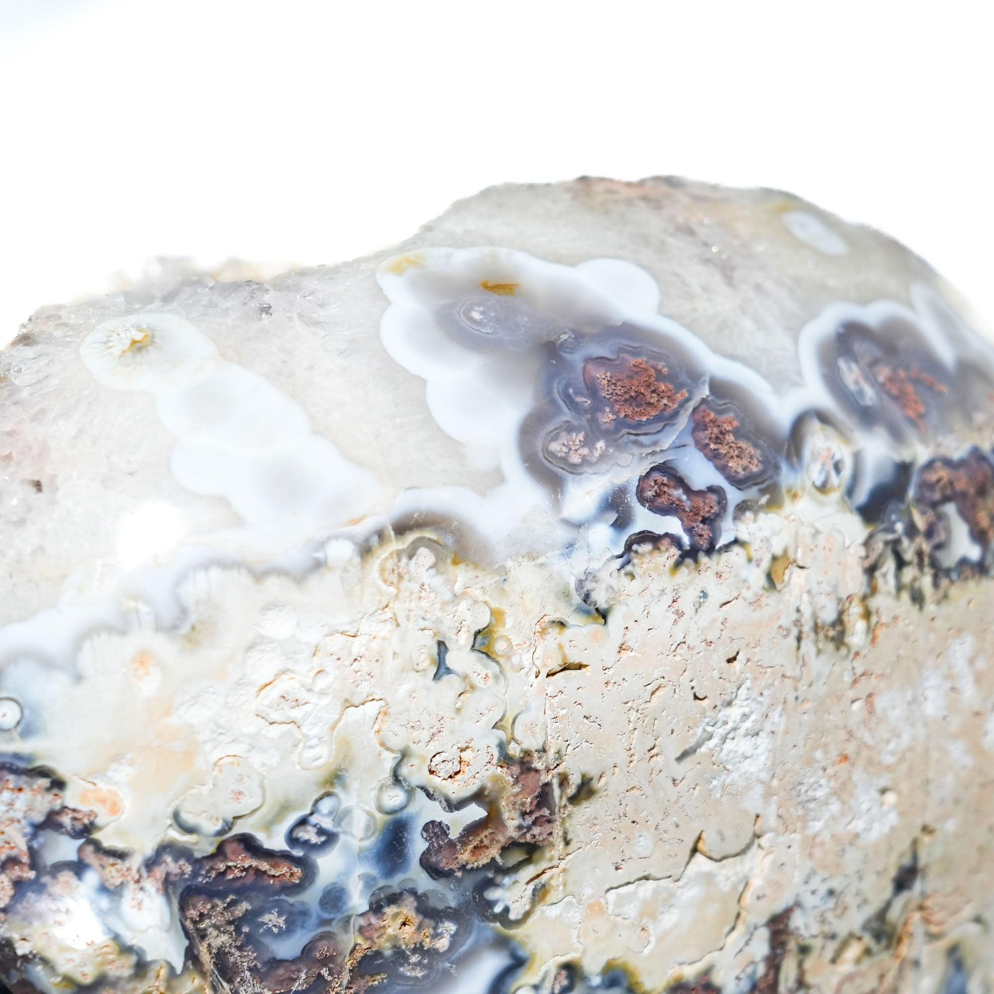 Mexico Agate Cluster Skull - helmsman - crystal