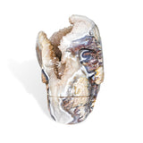 Mexico Agate Cluster Skull - helmsman - crystal