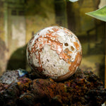 Money Agate Sphere - helmsman - crystal