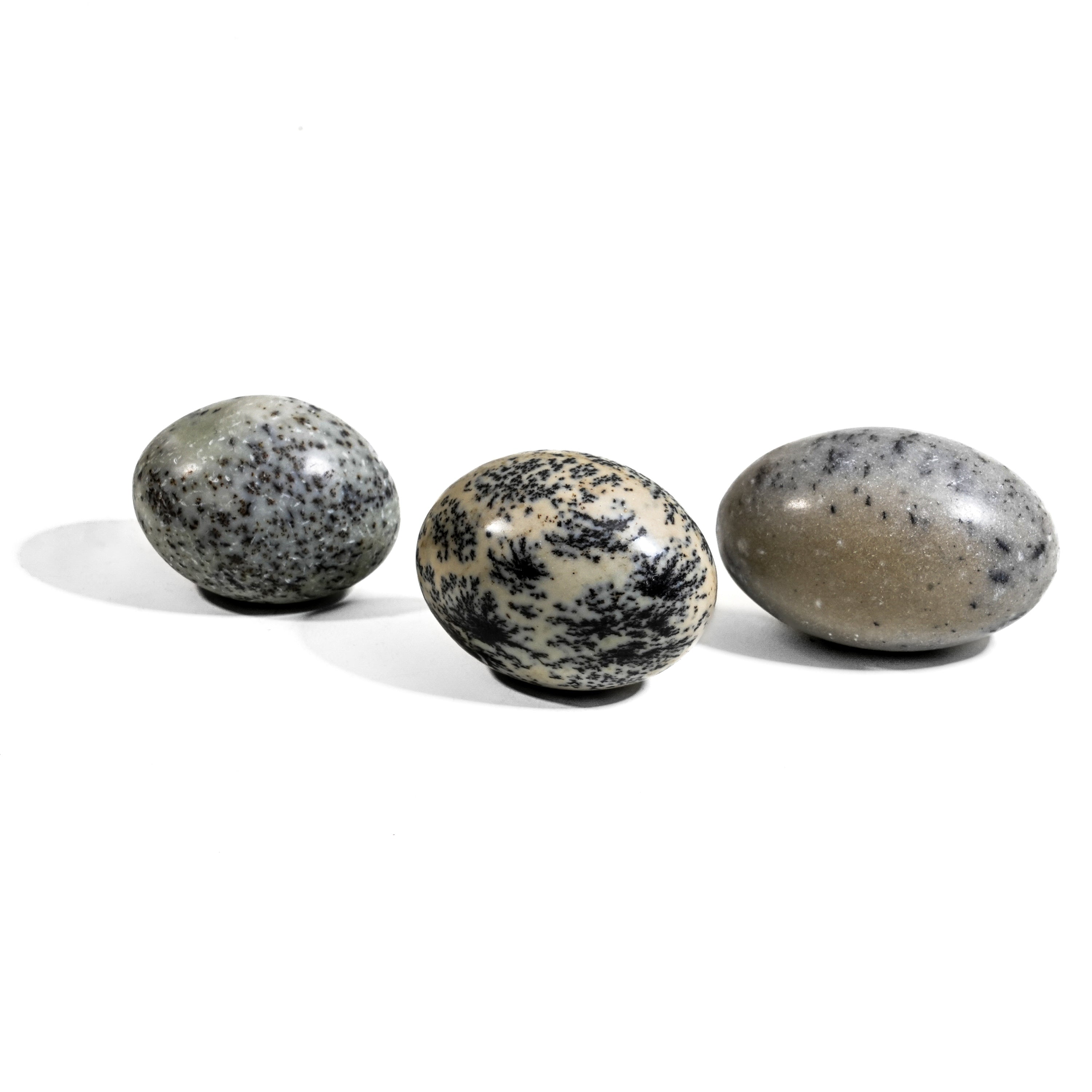 Petrified Jade Tumbled Stone Set-Helmsman Crystal