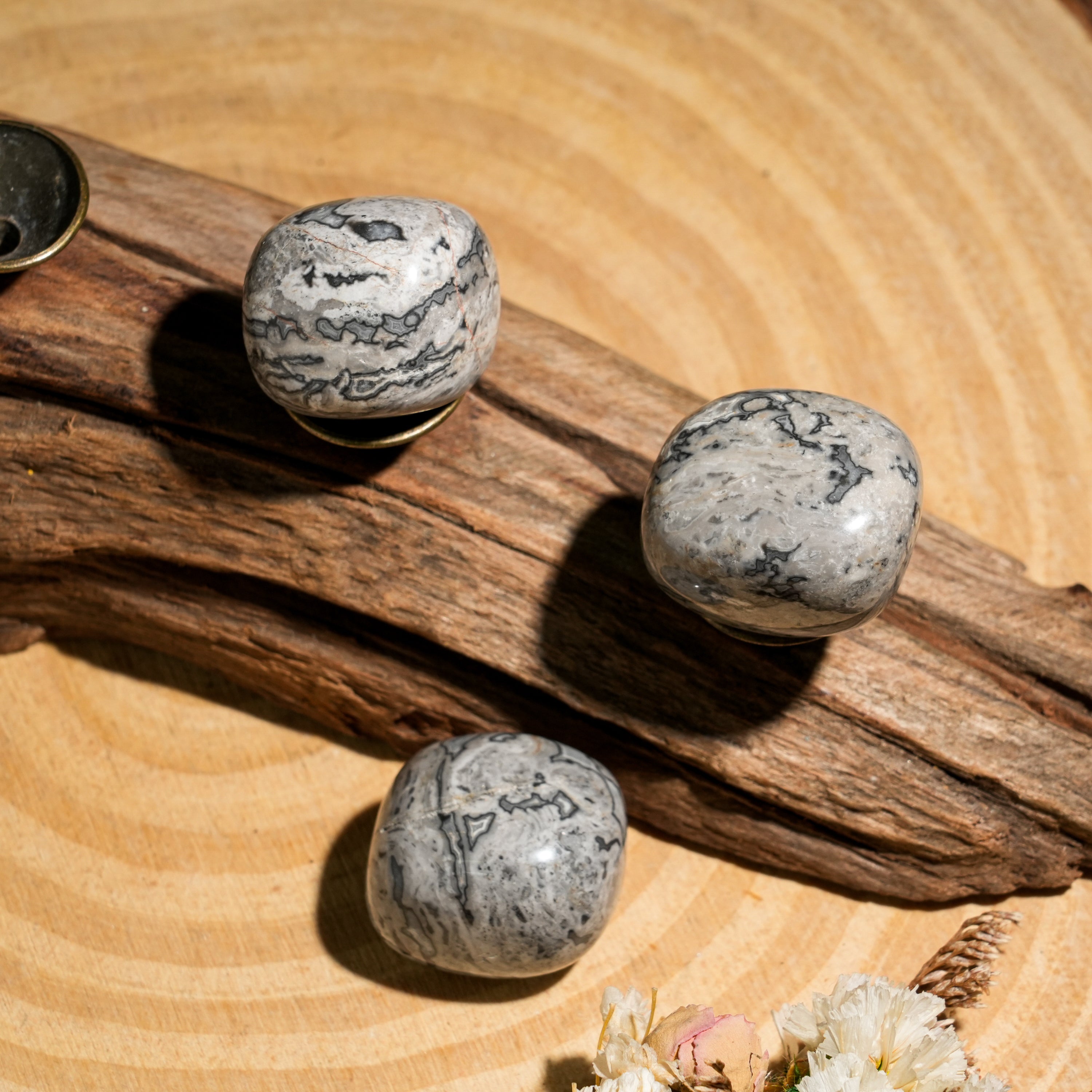 Picasso Jasper Tumbled Stone Set-Helmsman Crystal