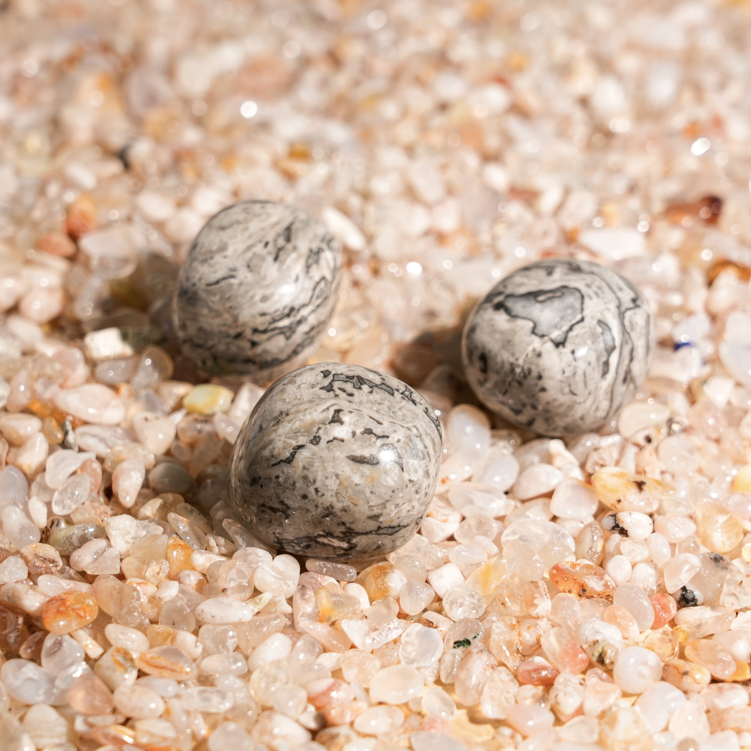 Picasso Jasper Tumbled Stone Set-Helmsman Crystal