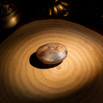 Plume Agate Palm Stone - helmsman - crystal
