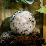 Rainbow Moonstone Sphere - helmsman - crystal