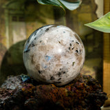 Rainbow Moonstone Sphere - helmsman - crystal