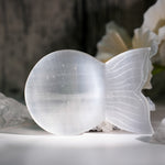 Selenite Fish Shape Charging Bowl - helmsman - crystal