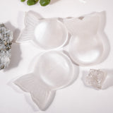 Selenite Fish Shape Charging Bowl - helmsman - crystal