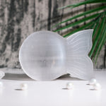 Selenite Fish Shape Charging Bowl - Helmsman Crystal - Healing Crystal