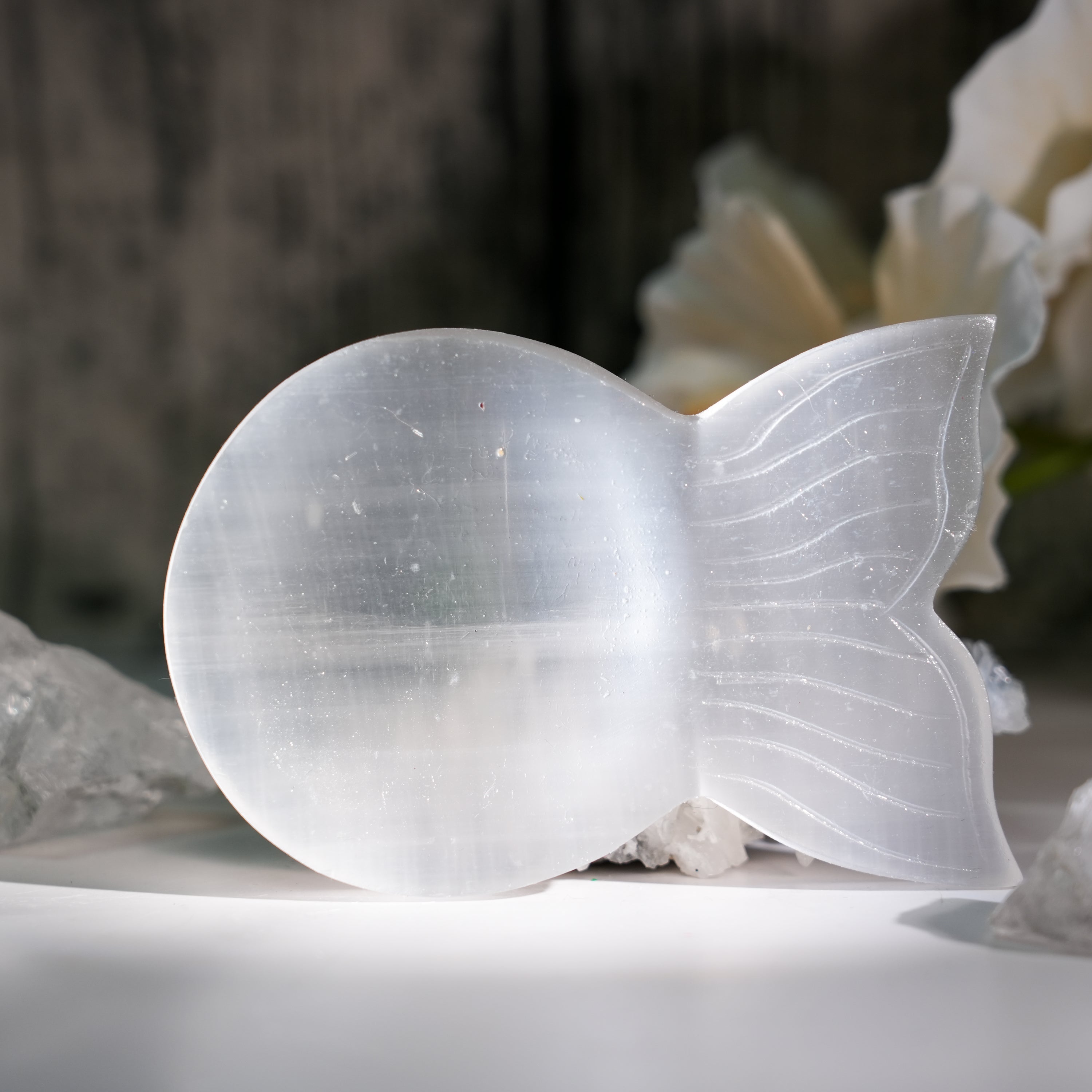 Selenite Fish Shape Charging Bowl - Helmsman Crystal - Healing Crystal