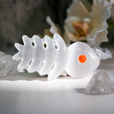 Selenite Fishbone - helmsman - crystal