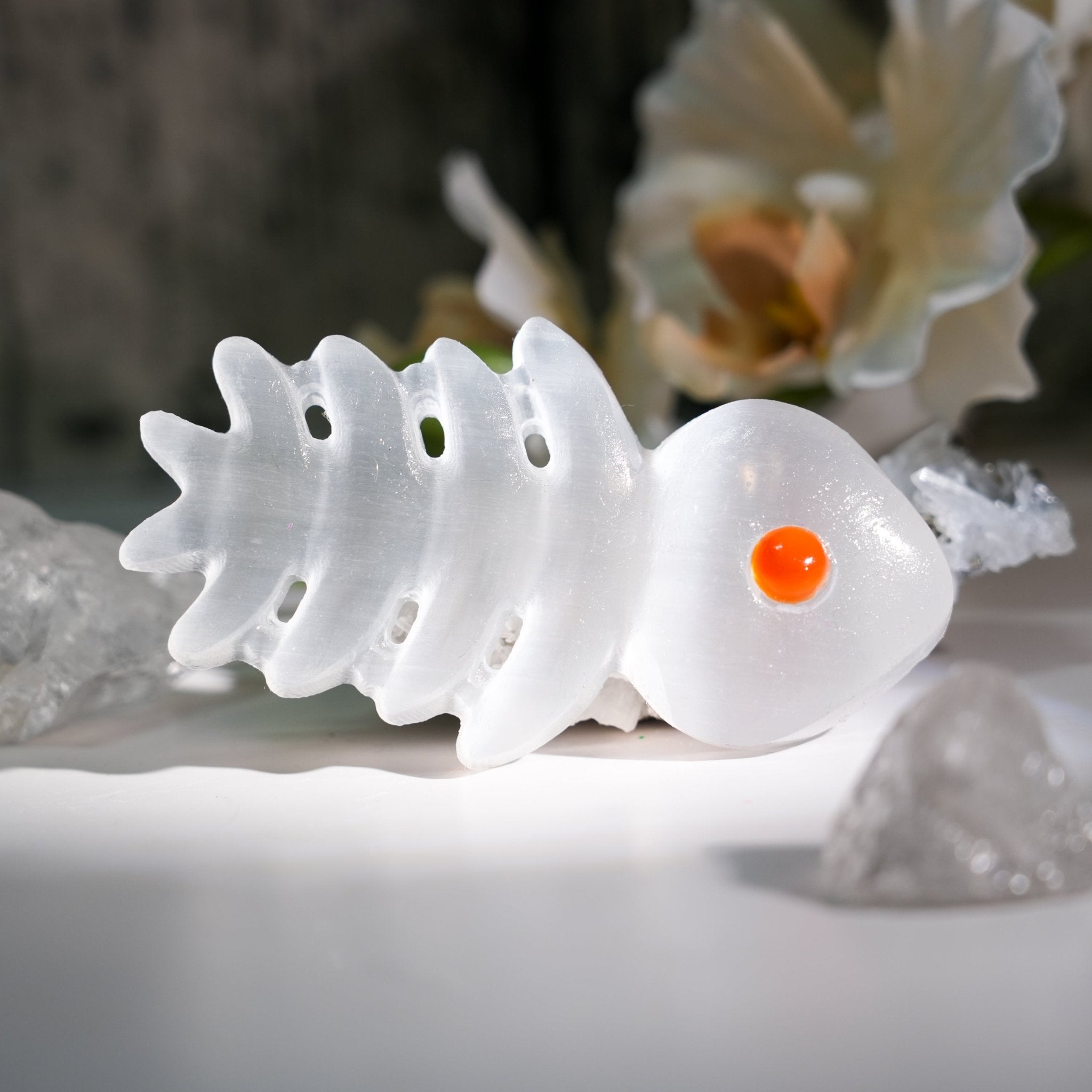 Selenite Fishbone - helmsman - crystal