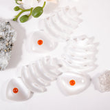Selenite Fishbone - helmsman - crystal