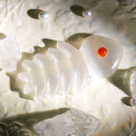 Selenite Fishbone - helmsman - crystal